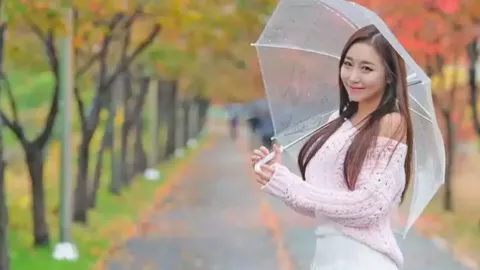群星闪耀撤档