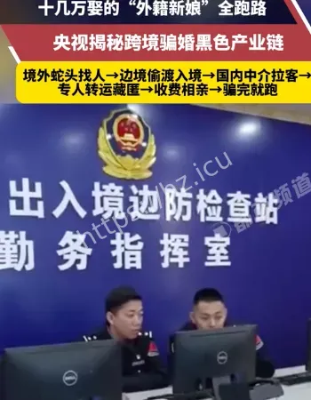 外籍新娘全跑路