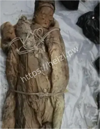 明代不腐女尸发掘