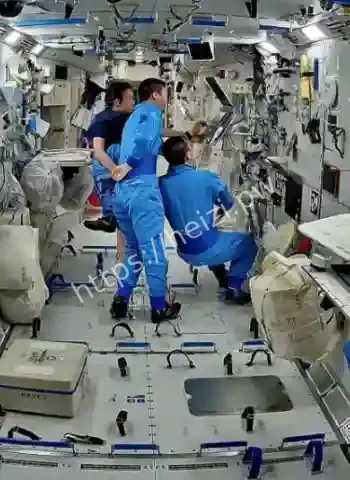 太空水稻采样成功
